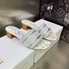 Christian Dior Slippers